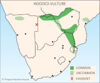 Hooded Vulture Distribution Map