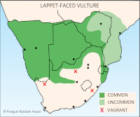 Lappet-faced Vulture Distribution Map