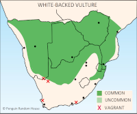 White-backed Vulture Distribution Map